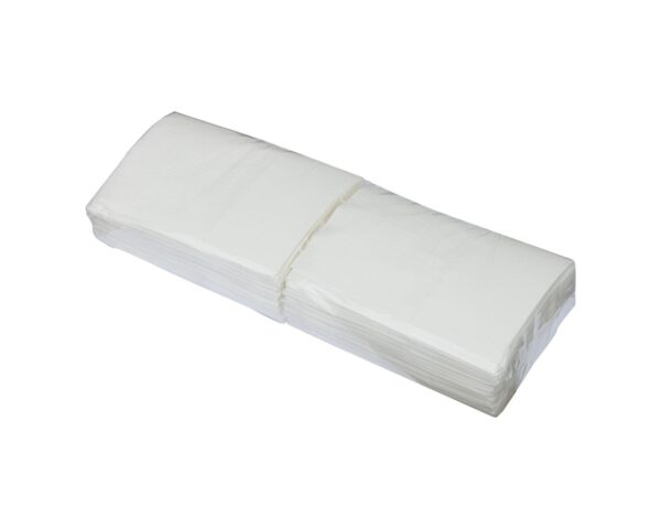 Serwetki gastronomiczne karton 3000 szt., wymiar serwetki 17 x 17 cm, 12 paczek po 250 szt.